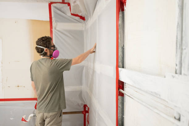 Best Water Damage & Mold Remediation  in Slayton, MN