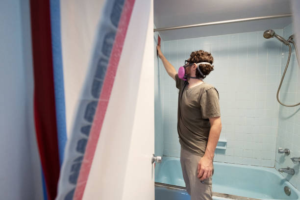 Best Dehumidification Services  in Slayton, MN