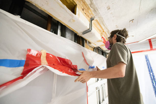 Reliable Slayton, MN Mold Removal Solutions