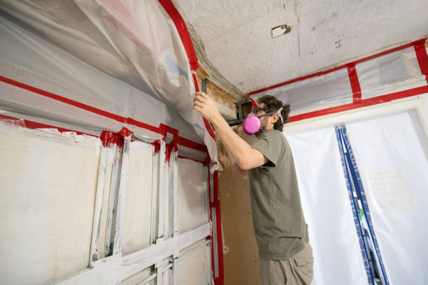 Best Mold Odor Removal Services  in Slayton, MN