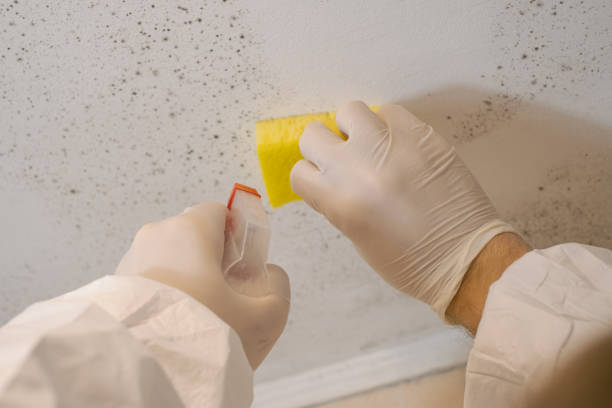 Forensic Mold Investigation in Slayton, MN